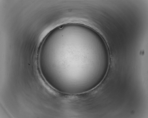 X0000114001525200910021304