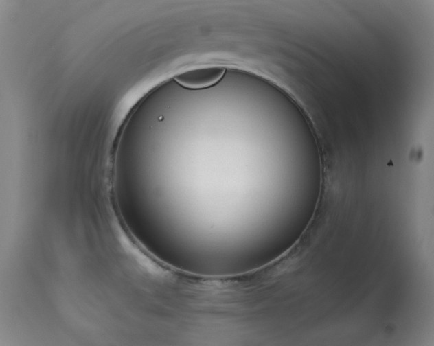 X0000114001527200910021304