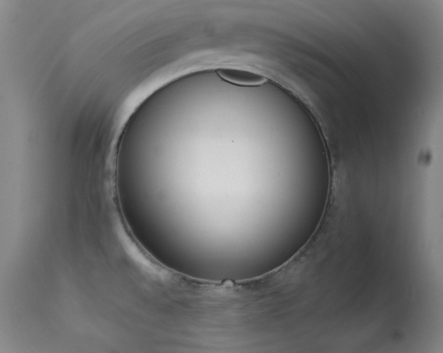 X0000114001528200910021304