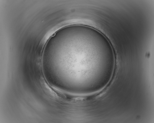 X0000114001529200910021304