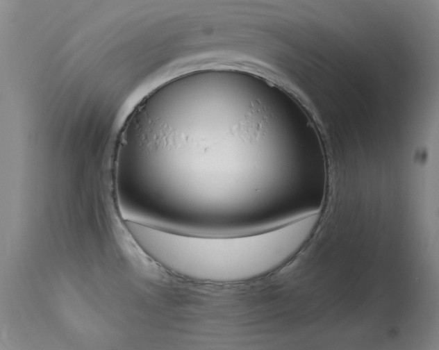 X0000114001530200910021304
