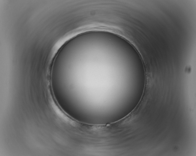 X0000114001531200910021304