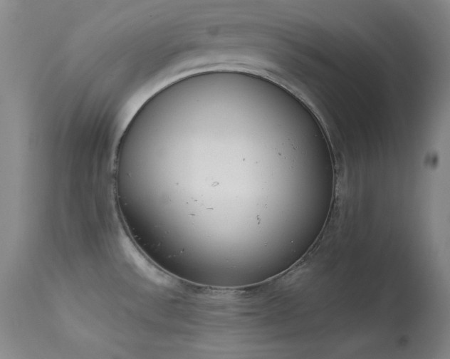 X0000114001532200910021304