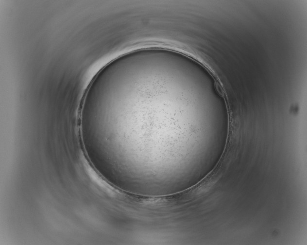 X0000114001535200910021304