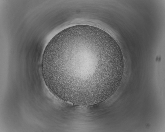 X0000114001536200910021304