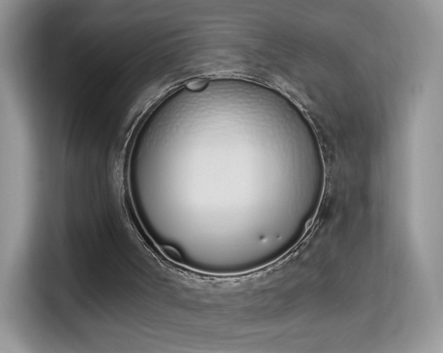 X0000114000002200910091413