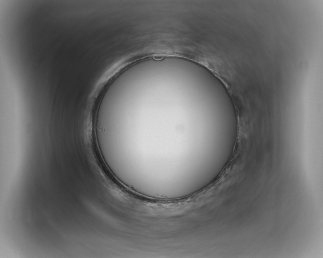 X0000114000005200910091413