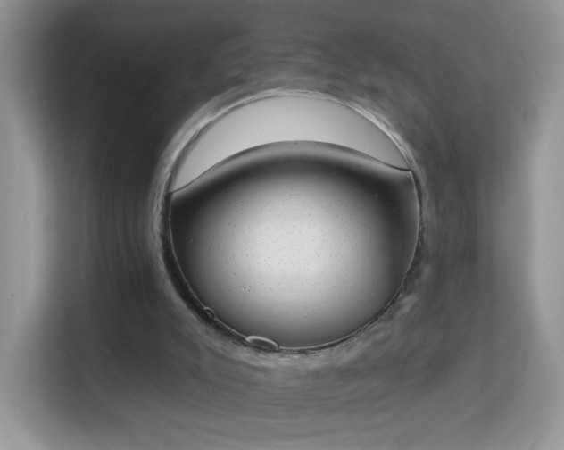 X0000114000007200910091413