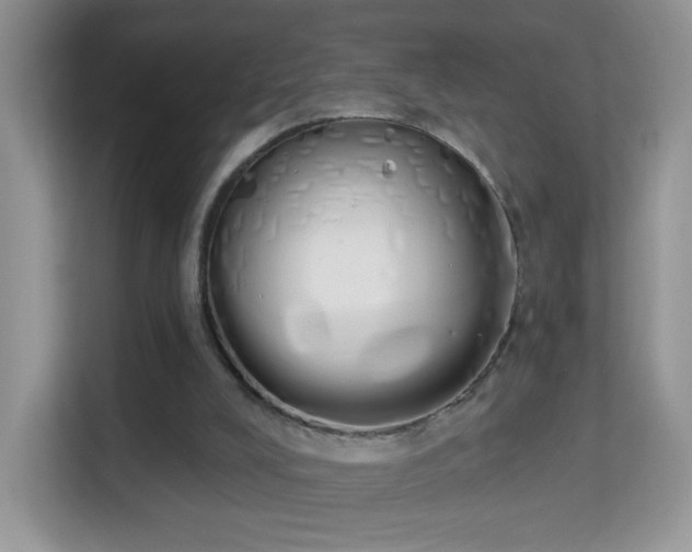 X0000114000008200910091413