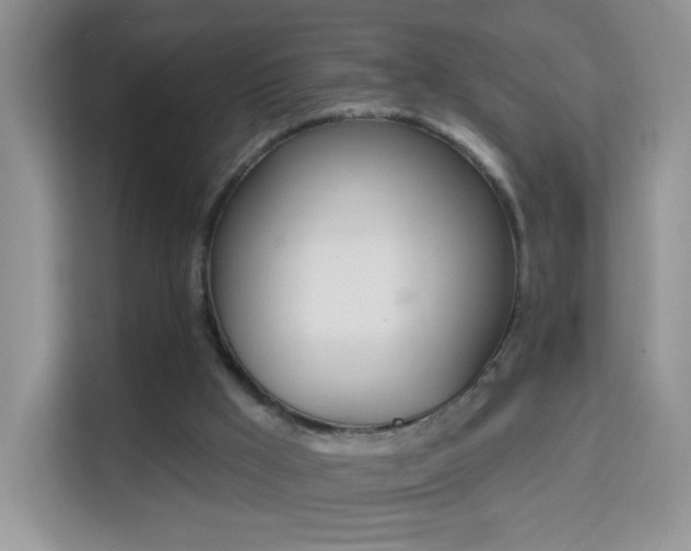 X0000114000009200910091413