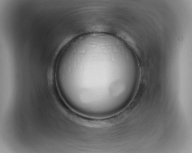X0000114000012200910091413