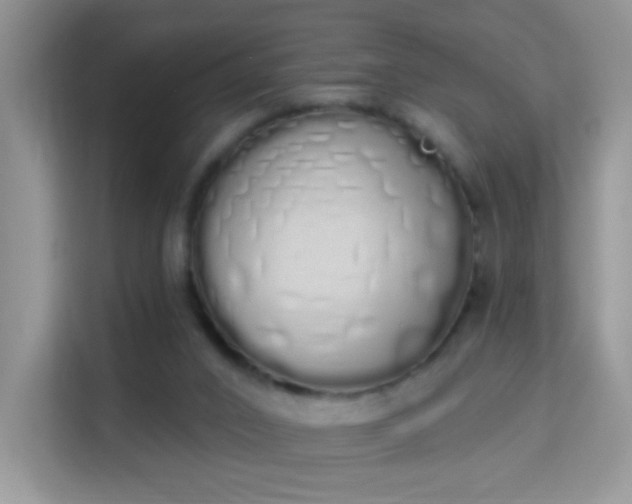 X0000114000016200910091413