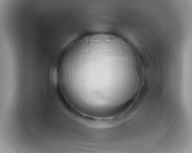 X0000114000020200910091413