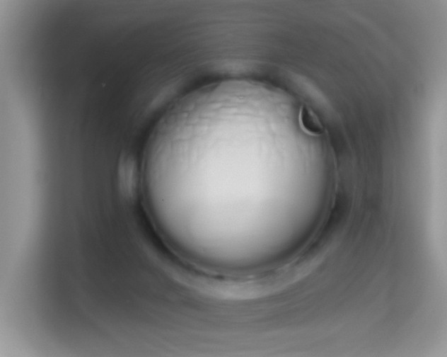 X0000114000024200910091412