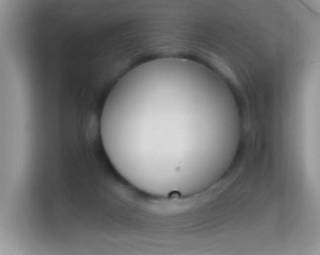 X0000114000025200910091412