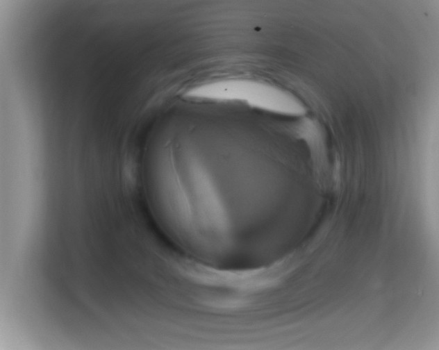 X0000114000035200910091412
