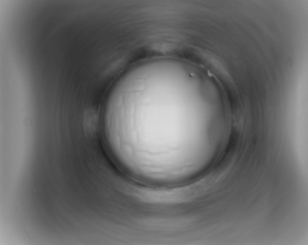 X0000114000036200910091412