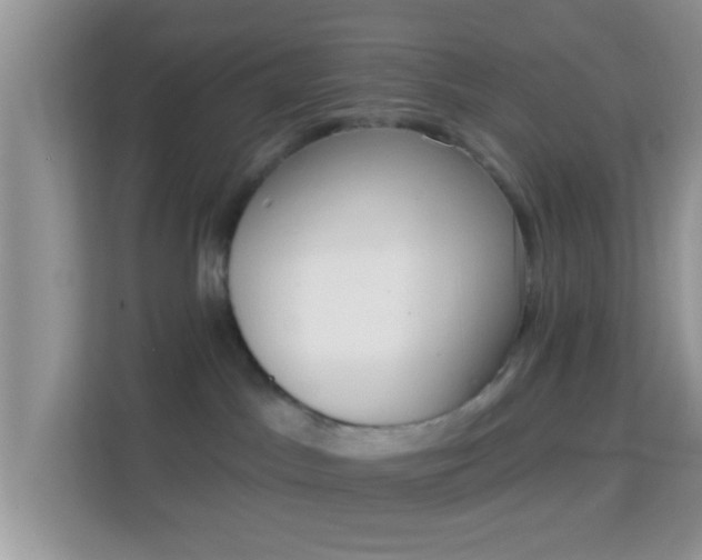 X0000114000045200910091412