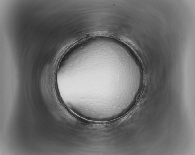 X0000114000049200910091412