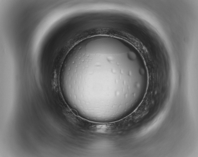 X0000114000050200910091412