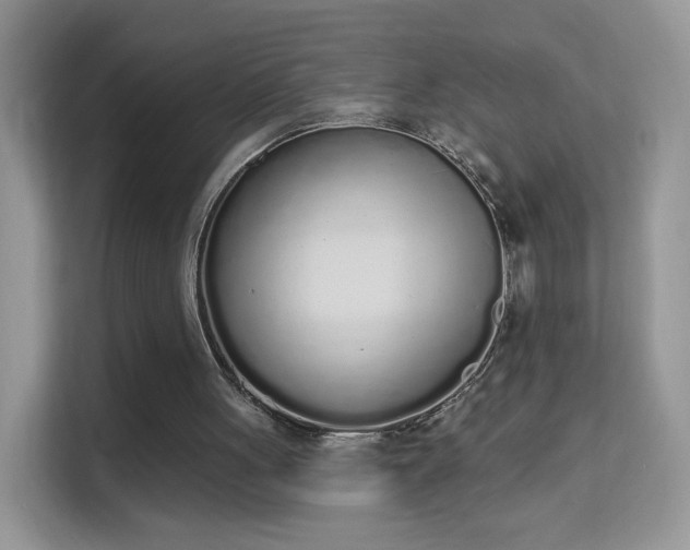 X0000114000051200910091412