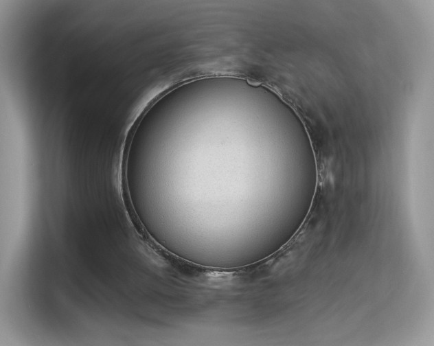X0000114000052200910091412