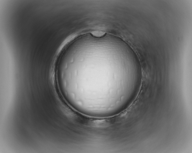 X0000114000054200910091412