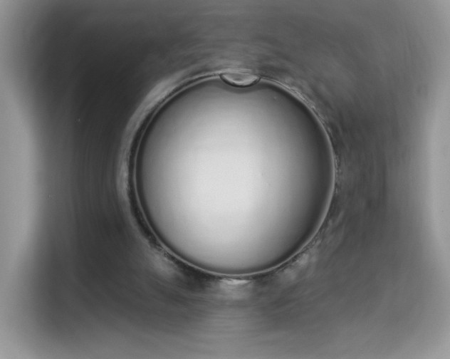 X0000114000055200910091412