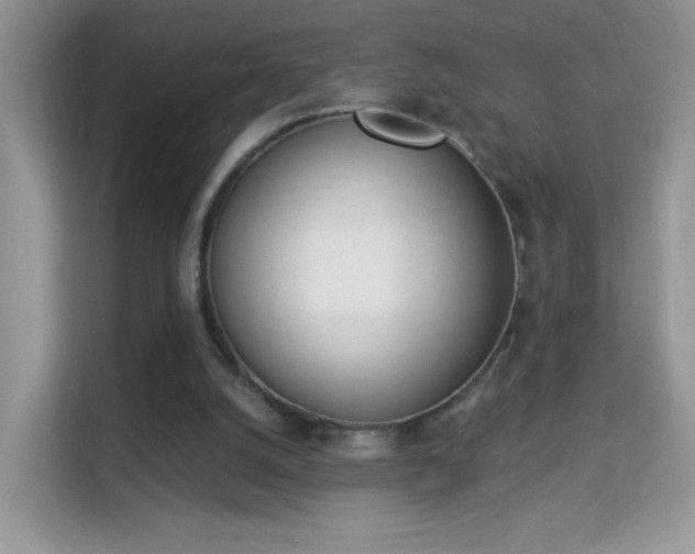 X0000114000056200910091412