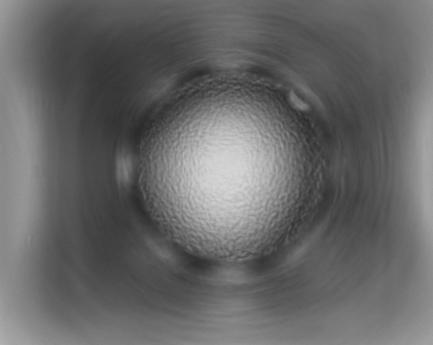 X0000114000076200910091412