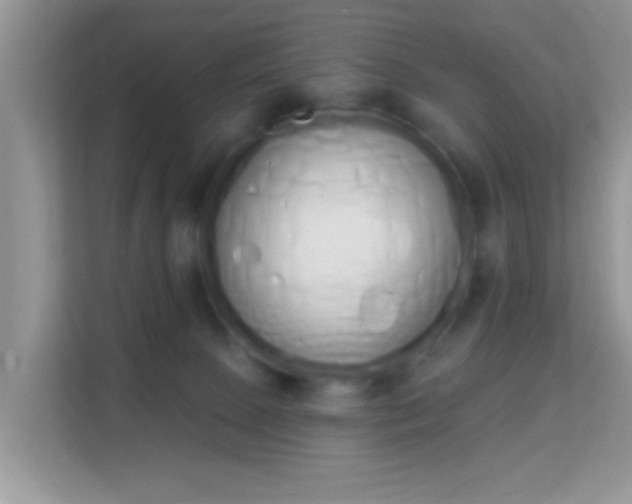 X0000114000081200910091412