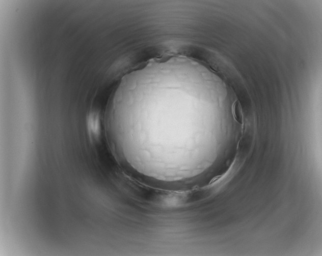 X0000114000094200910091412