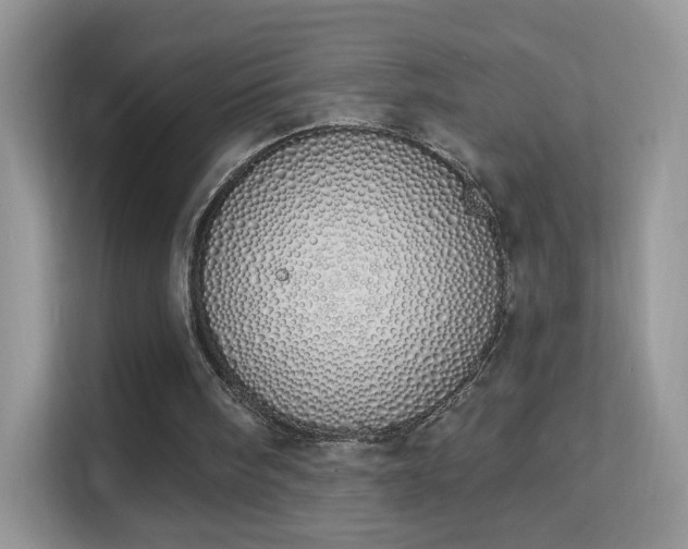 X0000114000098200910091412