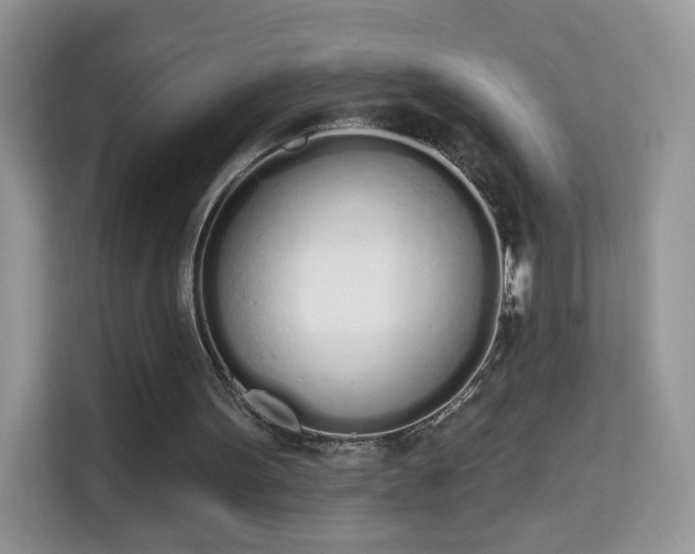 X0000114000099200910091412
