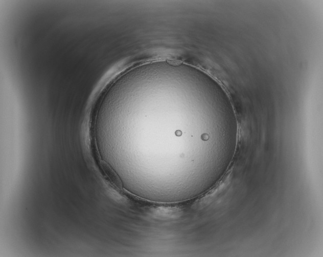 X0000114000101200910091411