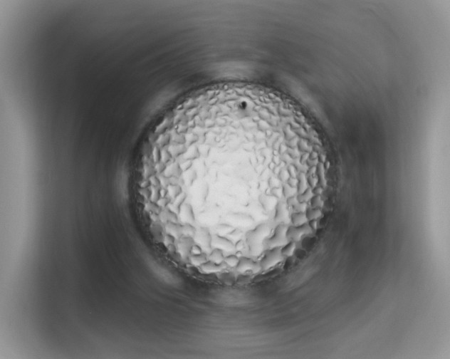 X0000114000106200910091411