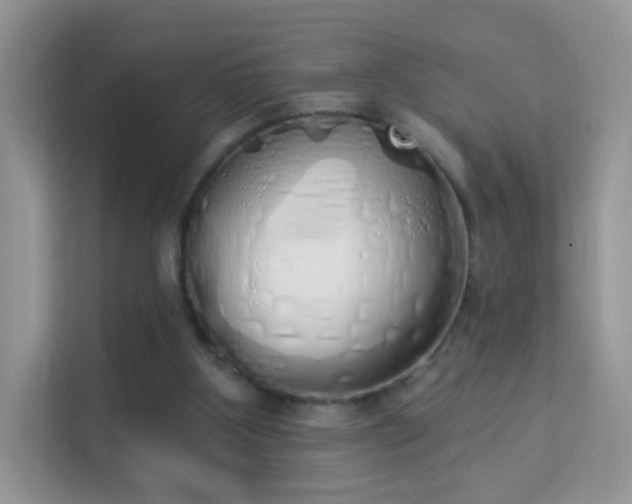 X0000114000107200910091411