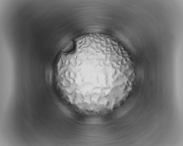 X0000114000110200910091411