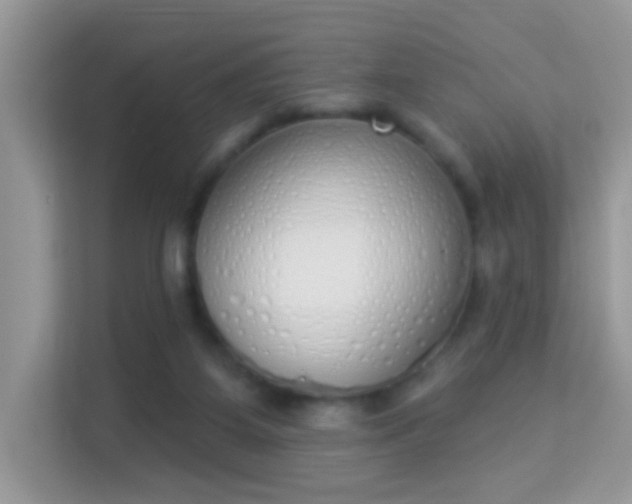 X0000114000115200910091411