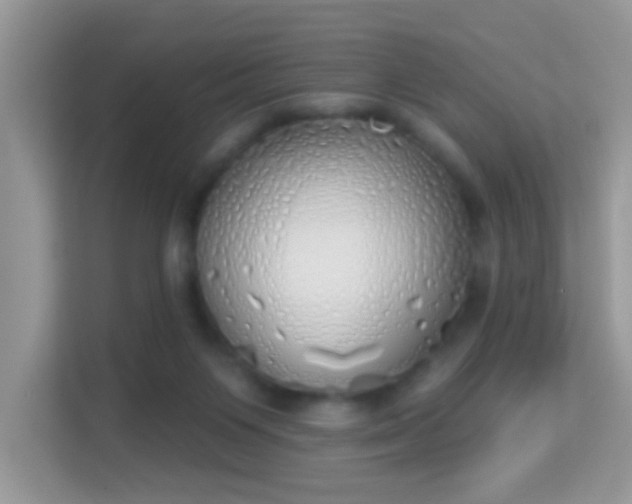 X0000114000119200910091411