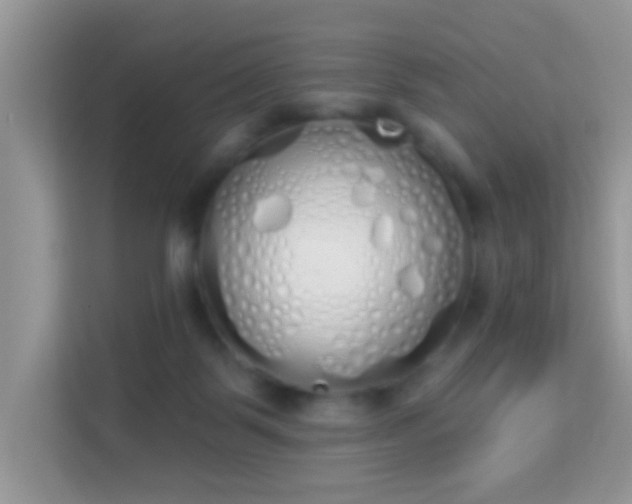 X0000114000123200910091411