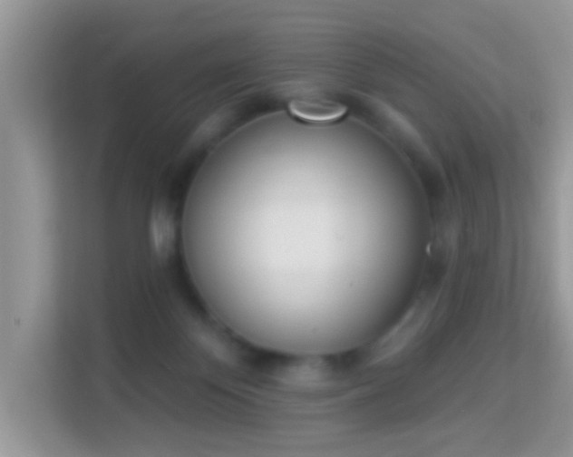 X0000114000124200910091411