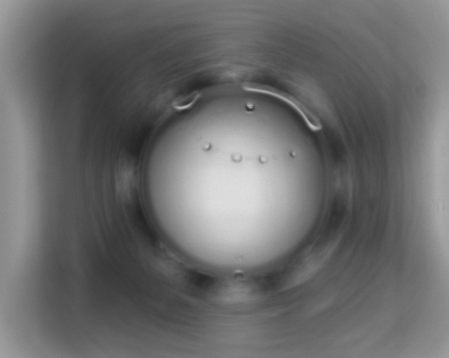 X0000114000127200910091411