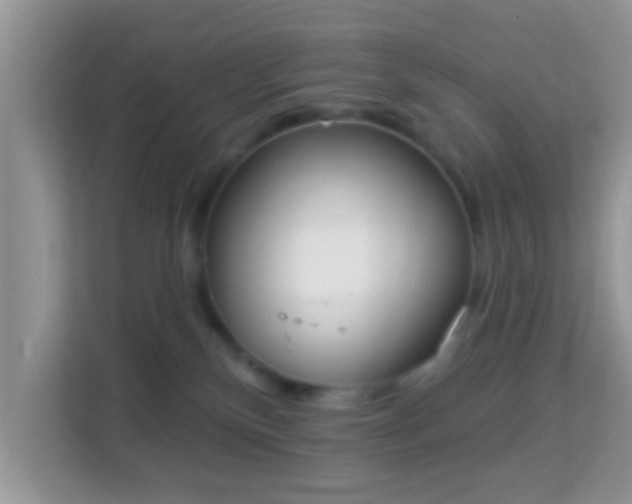 X0000114000136200910091411