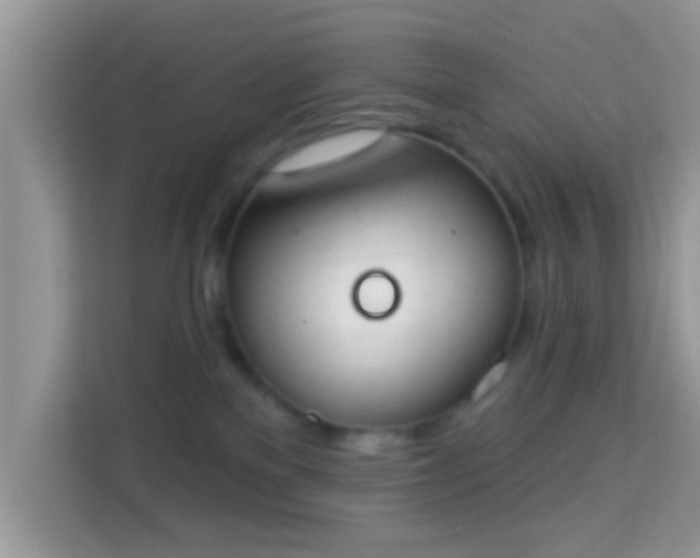 X0000114000137200910091411