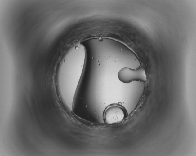 X0000114000146200910091410