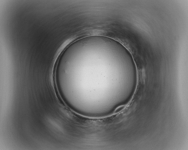 X0000114000147200910091410