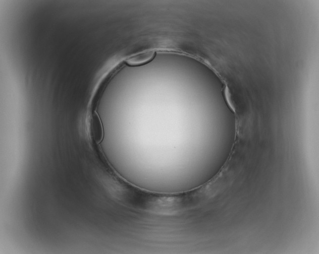 X0000114000152200910091410