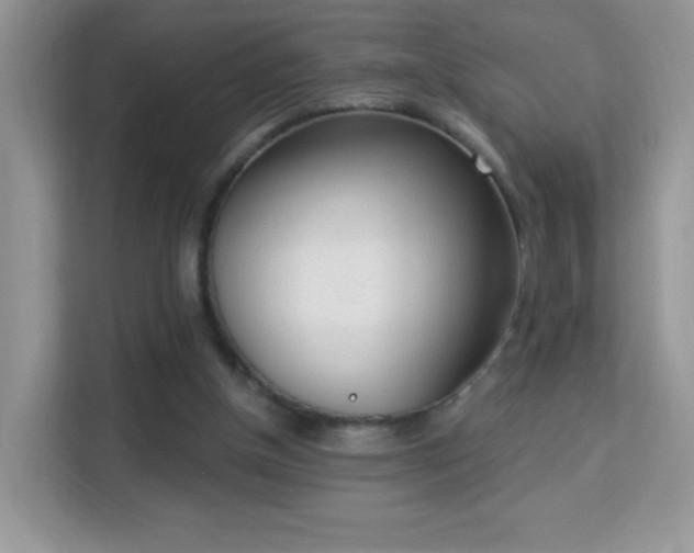 X0000114000154200910091410