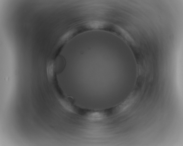 X0000114000163200910091411